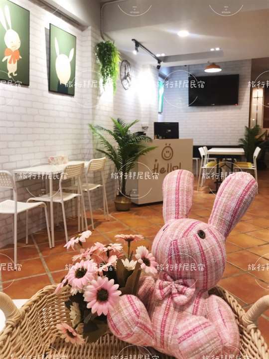 
相片來源：台北住宿 旅行邦尼青年旅店 Tourist Bunny Hostel（官網）