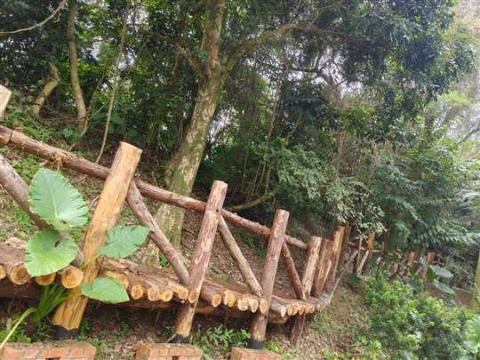 
相片來源：雄鷹探索體驗活動園區