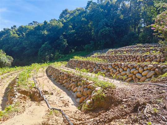 
相片來源：雄鷹探索體驗活動園區