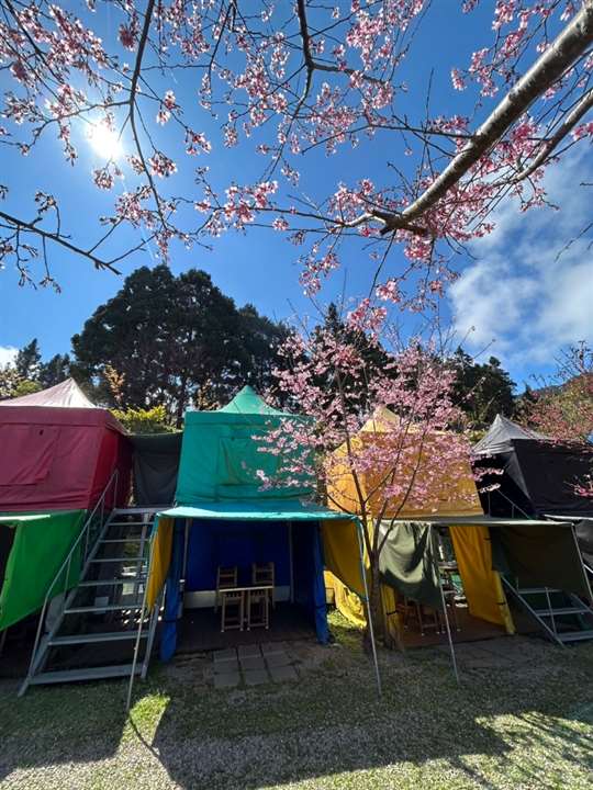 
相片來源：新竹五峰露營區‧移動城堡露營