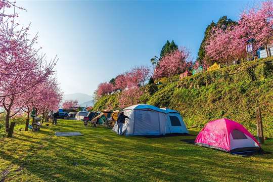 
相片來源：新竹五峰露營區‧移動城堡露營