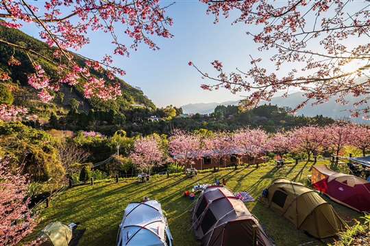 
相片來源：新竹五峰露營區‧移動城堡露營