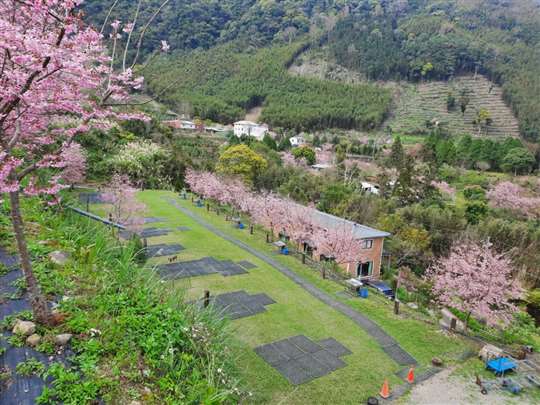 
相片來源：新竹五峰露營區‧移動城堡露營