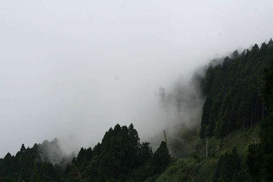 雲海景觀
相片來源：杉林溪住宿‧旭爸爸的窩露營區