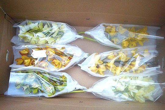 花卉禮盒裝
相片來源：阿里山花舞山嵐農莊