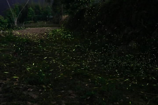 
相片來源：瑞里山間茶墅民宿
