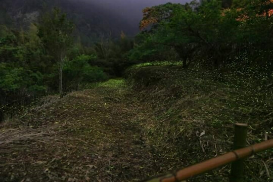 
相片來源：瑞里山間茶墅民宿