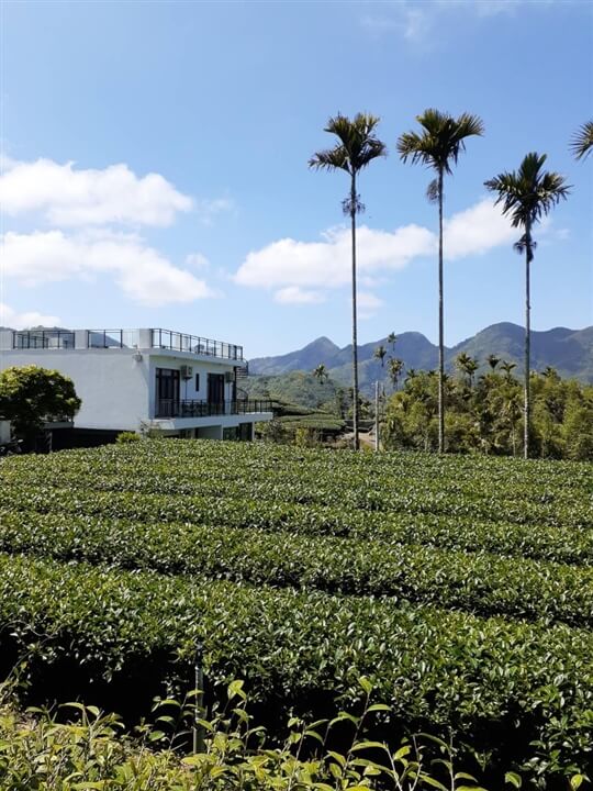 
相片來源：瑞里山間茶墅民宿