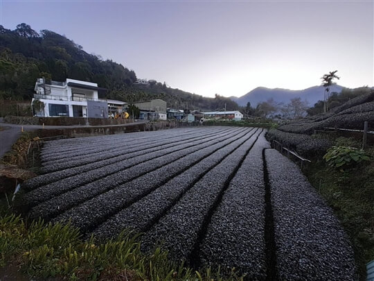 
相片來源：瑞里山間茶墅民宿