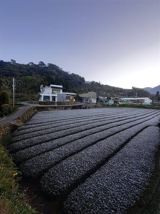 
相片來源：瑞里山間茶墅民宿