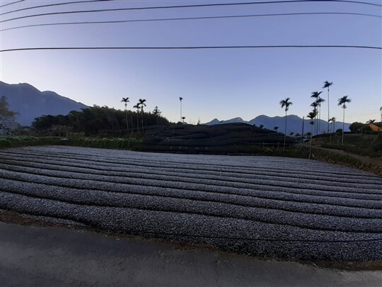
相片來源：瑞里山間茶墅民宿