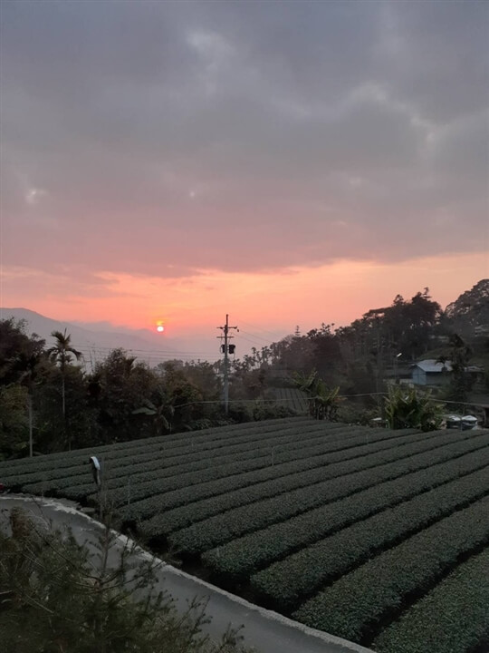 
相片來源：瑞里山間茶墅民宿
