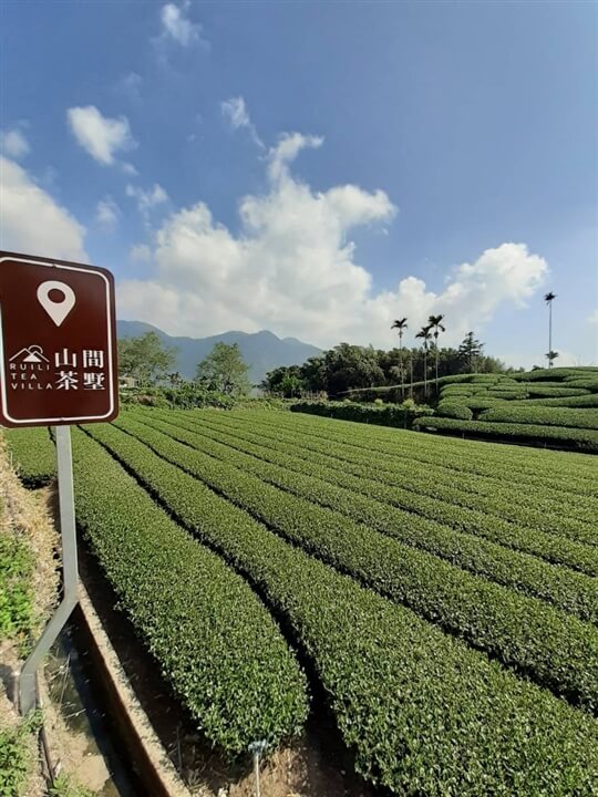 
相片來源：瑞里山間茶墅民宿