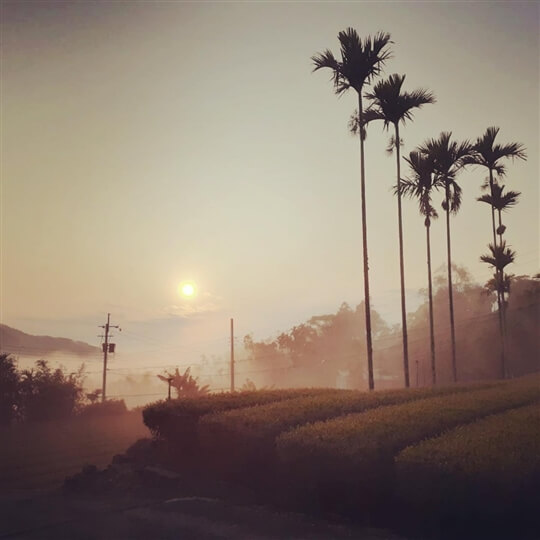 
相片來源：瑞里山間茶墅民宿