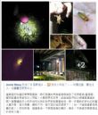 相片(17) 相片(17)