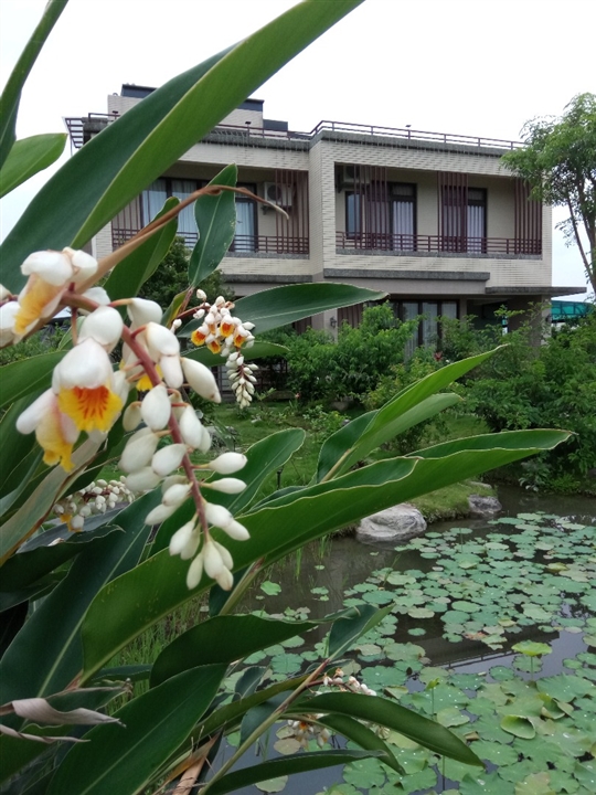 四季的饗宴
相片來源：宜蘭蜻蜓雅茿庭園民宿