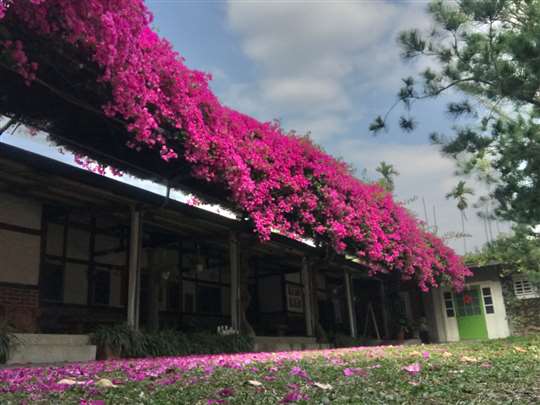 園區環境
相片來源：嘉義白樹腳驛棧民宿-家庭旅行村庒腳的好所在