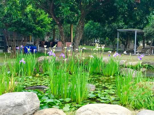 園區環境
相片來源：嘉義白樹腳驛棧民宿-家庭旅行村庒腳的好所在