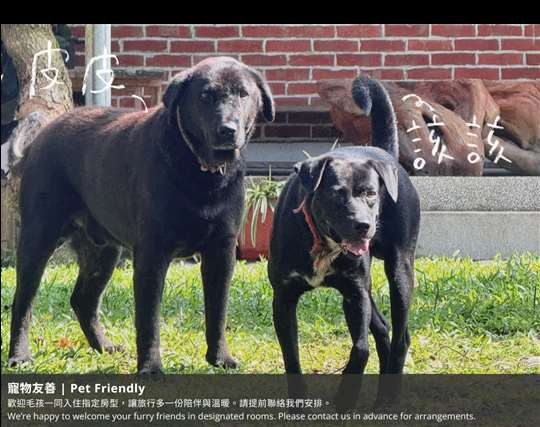 
相片來源：嘉義白樹腳驛棧民宿-家庭旅行村庒腳的好所在