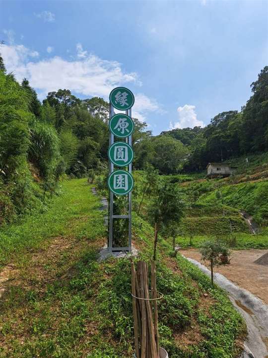 明巧梢楠森林浴｜露營｜烤肉