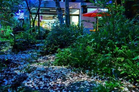 苗栗大湖民宿楓葉地圖