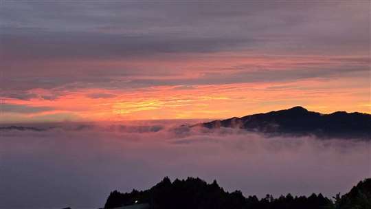 雲海季開跑了!趕快預約訂房欣賞壯麗雲海~