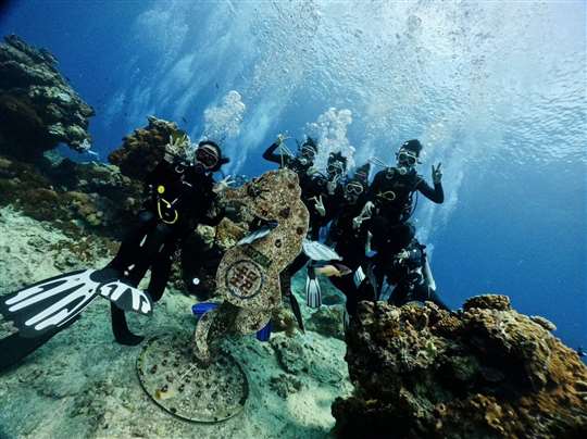 前進島嶼-蘭嶼船票、綠島船票預訂