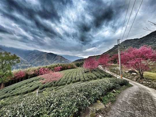 北橫國家風景區·♨️北橫貫下巴陵溫泉山莊