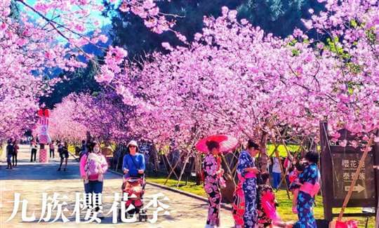 💖九族票（含纜車）加購優惠中