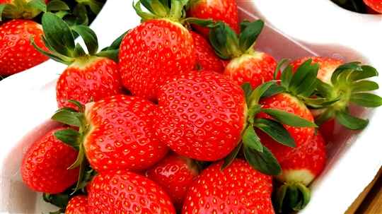 冬季限定:韓國草莓一日團