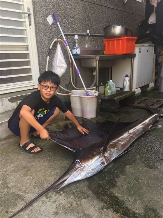 綠島田の家民宿
