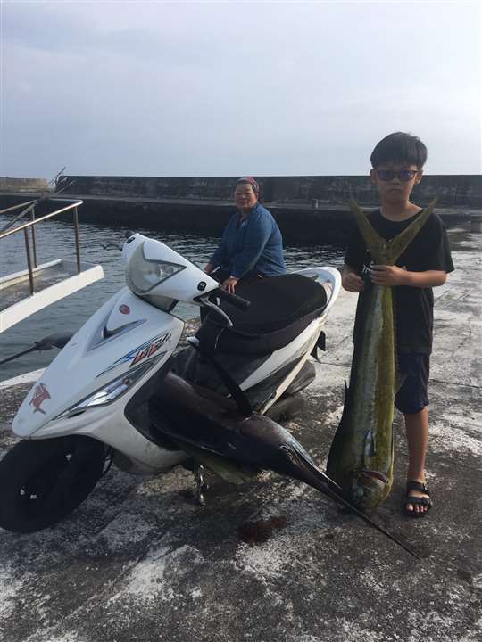 綠島田の家民宿