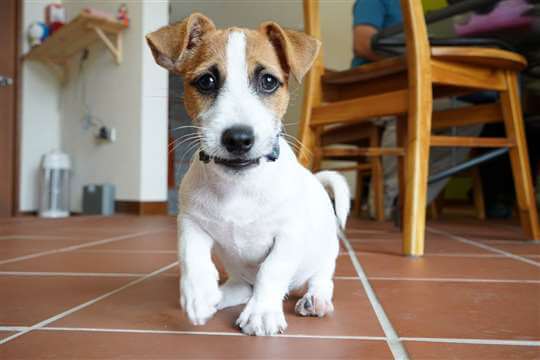 🎉 提早訂房更優惠｜歡迎洽詢預約！🏡