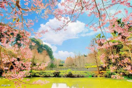 2026富禾居春節，02.19初三~02.22初六春節住房專案，歡迎預訂(2/16除夕~2/18初二不營業，2/19初三與2/20初四已客滿不接收預訂)