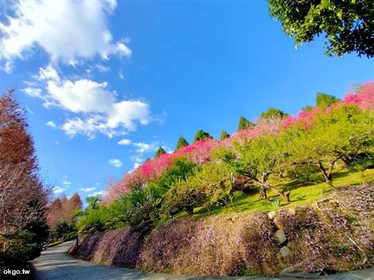 2026富禾居春節，02.19初三~02.22初六春節住房專案，歡迎預訂(2/16除夕~2/18初二不營業，2/19初三與2/20初四已客滿不接收預訂)