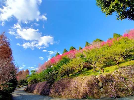 新社富禾居會館