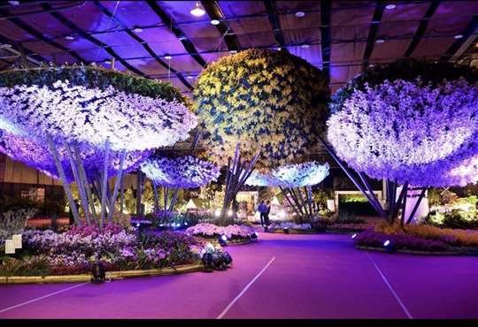 台南一日遊賞花燈、長城