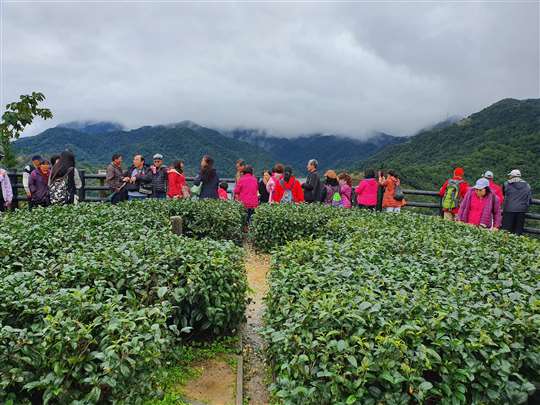 宜蘭包車自由行～小吳旅遊車隊
