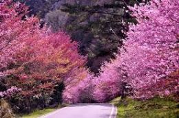 宜蘭包車自由行～小吳旅遊車隊