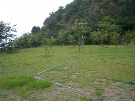 露營Ｂ區（非棧板）護草墊