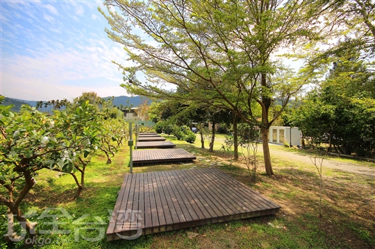 1.木棧板區