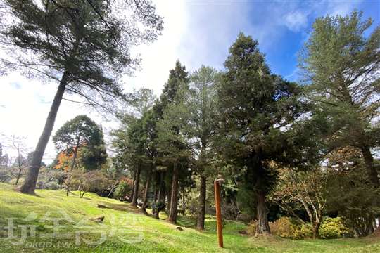 阿里山旅行社｜專業在地導覽・誠信貼心的台灣旅遊首選