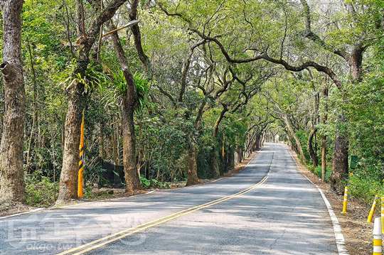 集集民宿推薦｜集集八張民宿・近火車站步行8分鐘｜平價住宿首選