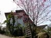 境築庭園民宿