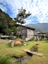 南投岩石休閒民宿