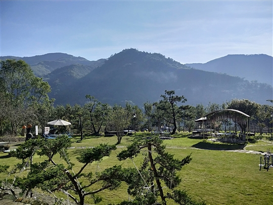 庭園草坪