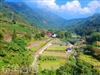 阿里山露營‧冠銘露營區