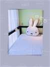 台北住宿 旅行邦尼青年旅店 Tourist Bunny Hostel（官網）