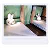 台北住宿 旅行邦尼青年旅店 Tourist Bunny Hostel（官網）