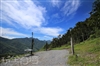 九叔公露營區 - 阿里山露營 - 奮起湖露營